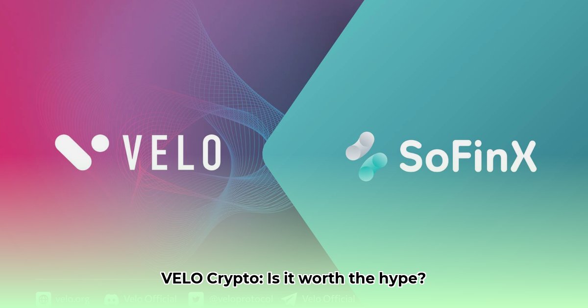where-can-i-buy-velo-crypto